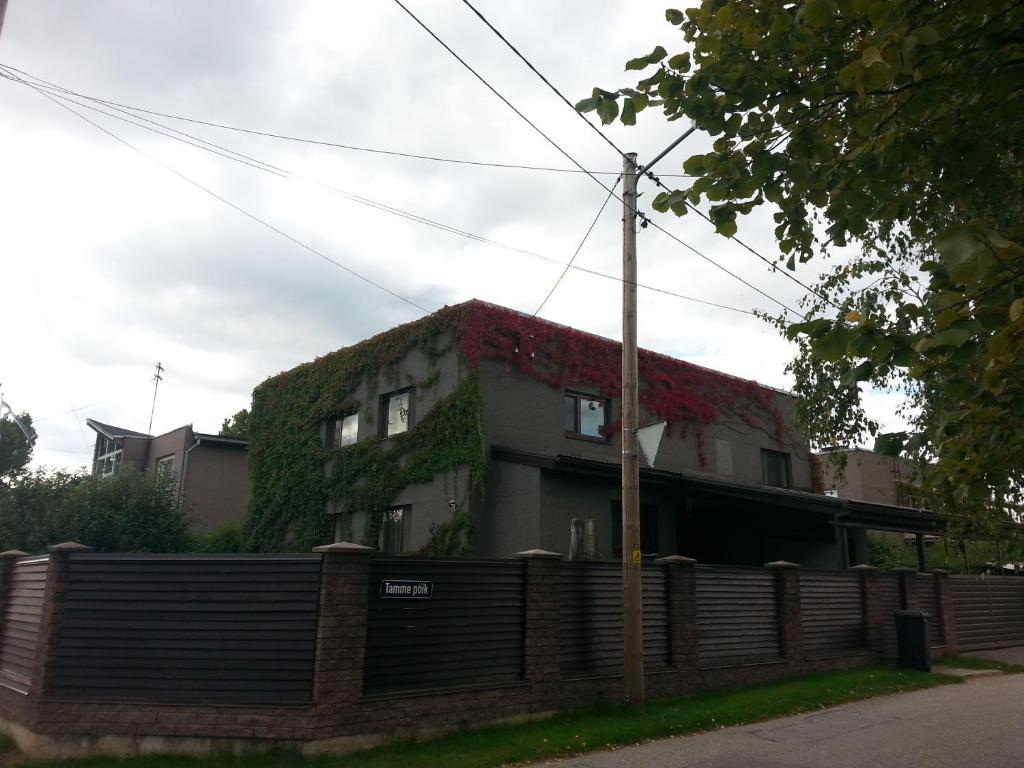 Eha Suija Home Accommodation Tartu Dış mekan fotoğraf